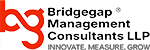 The Bridgegap Consultants